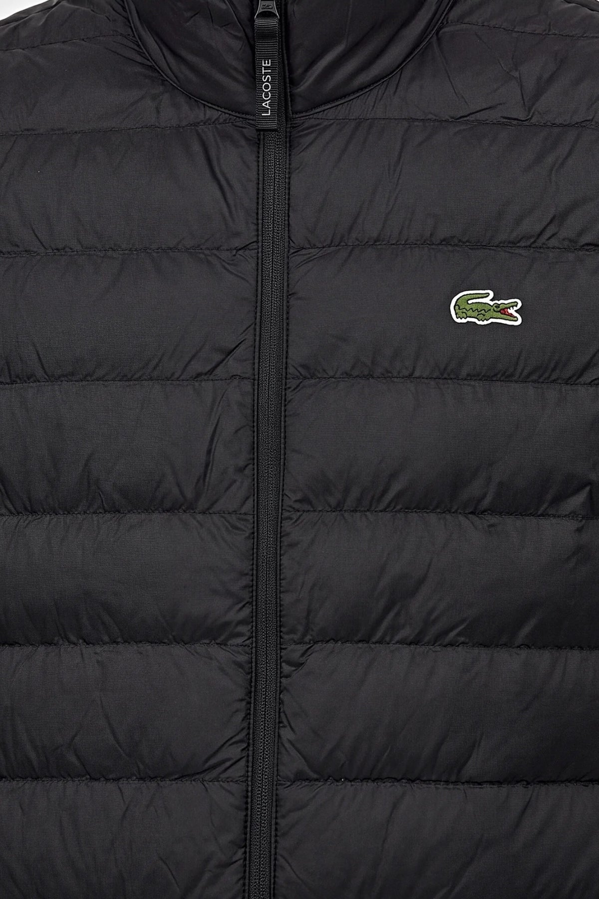 LACOSTE BH PUFFER JACKETS en color (2)