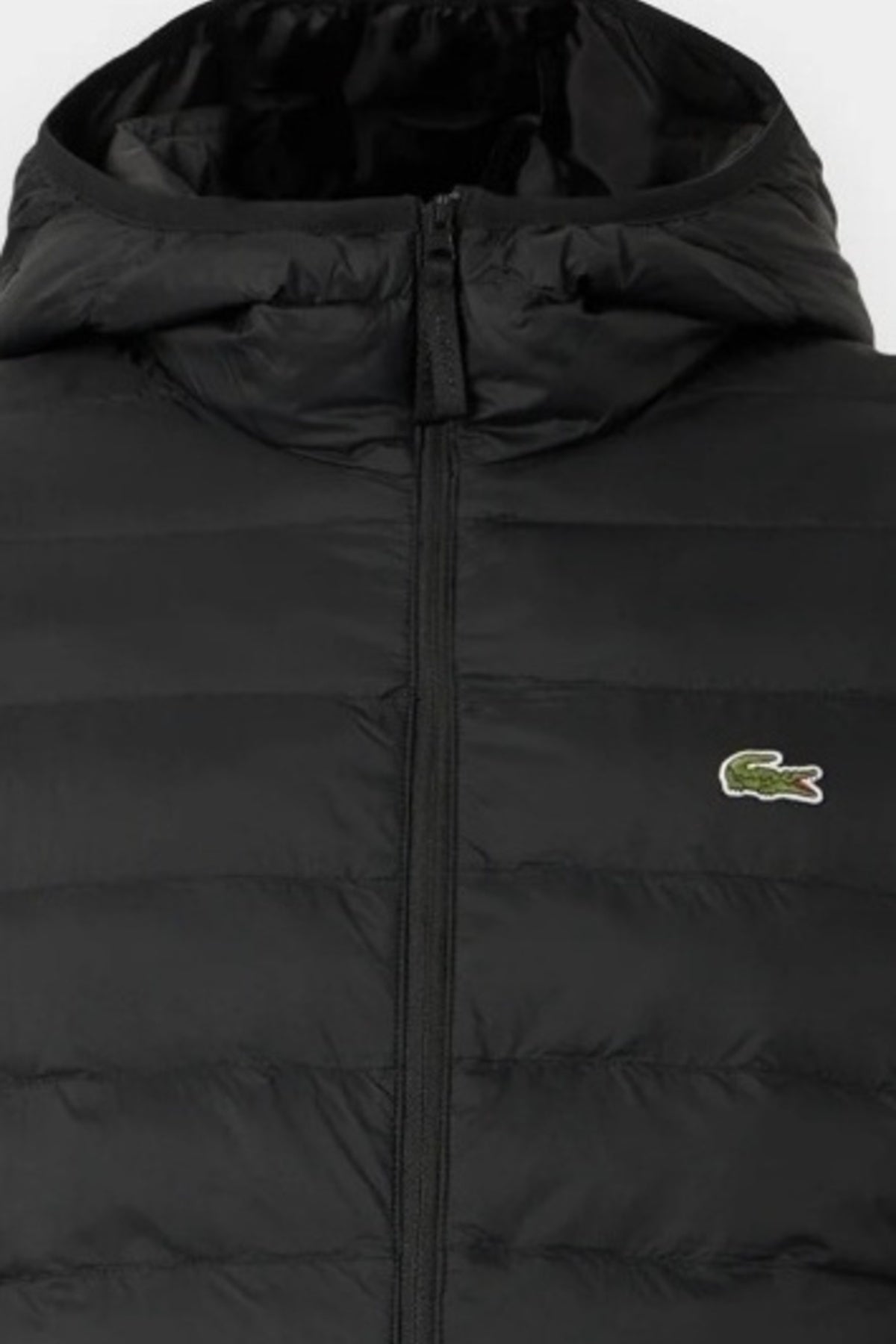 LACOSTE BH PUFFER JACKETS en color NEGRO (3)
