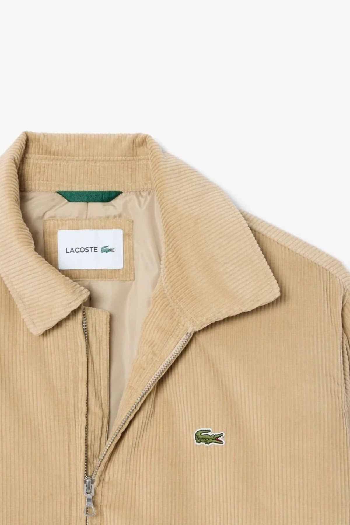 LACOSTE BH SHORT JACKETS en color MARRON CLARO (2)