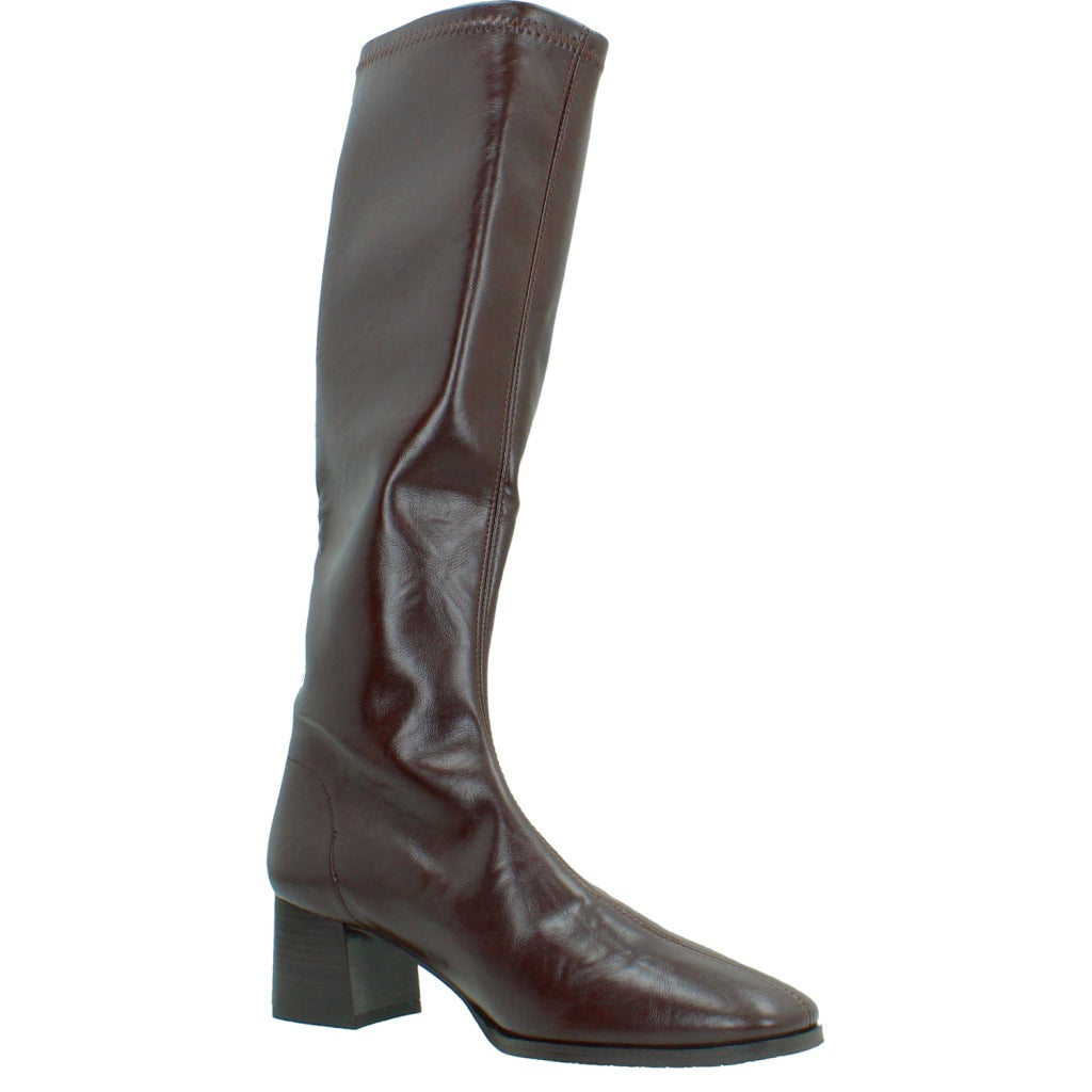MISS ELASTIC en color MARRON (5)