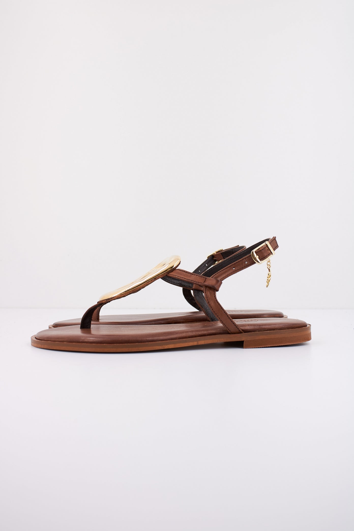 CARYATIS C en color MARRON (1)