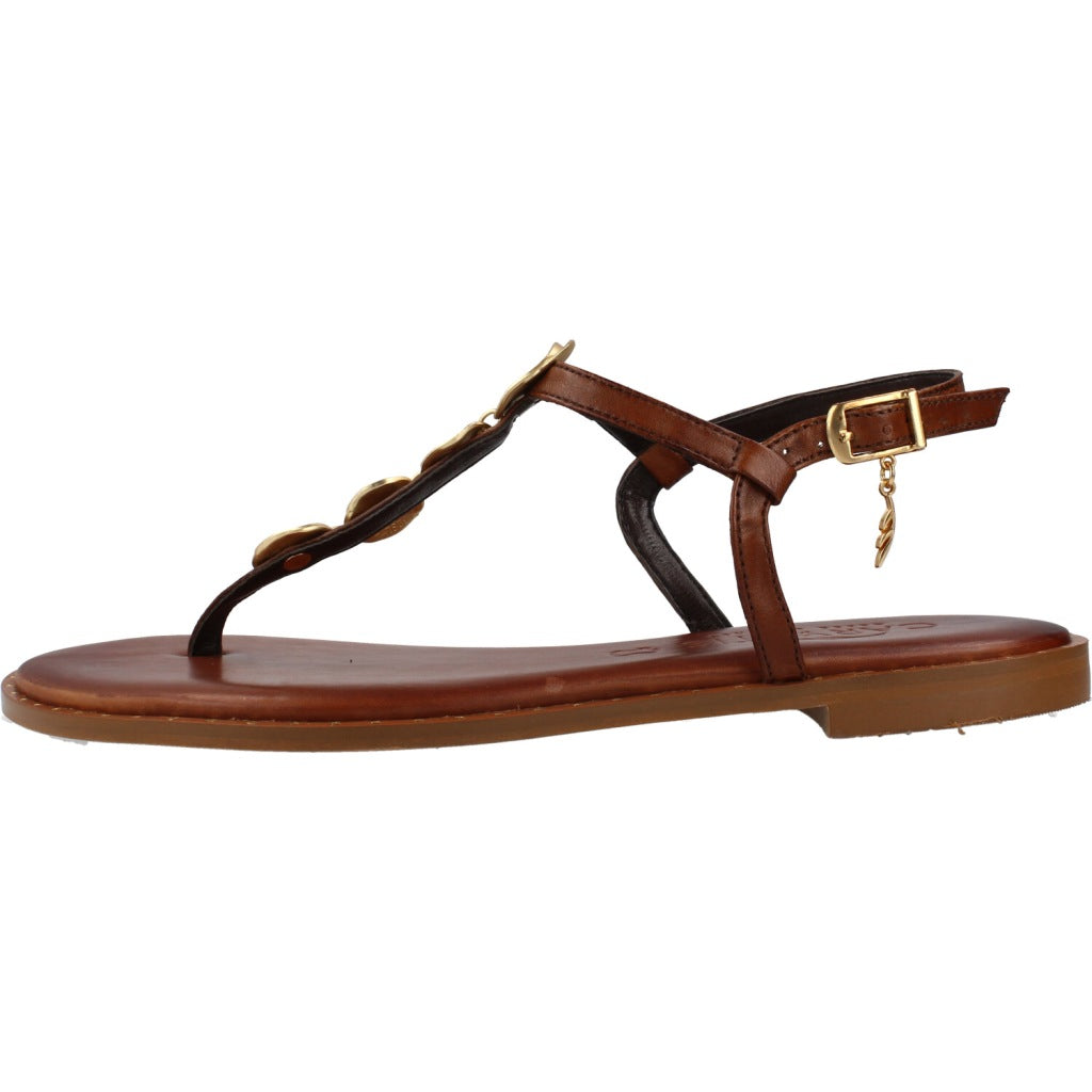 CARYATIS C en color MARRON (2)
