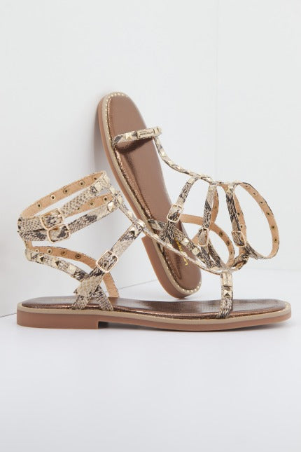 LES TROPEZIENNES CCOROL en color ANIMAL PRINT (1)