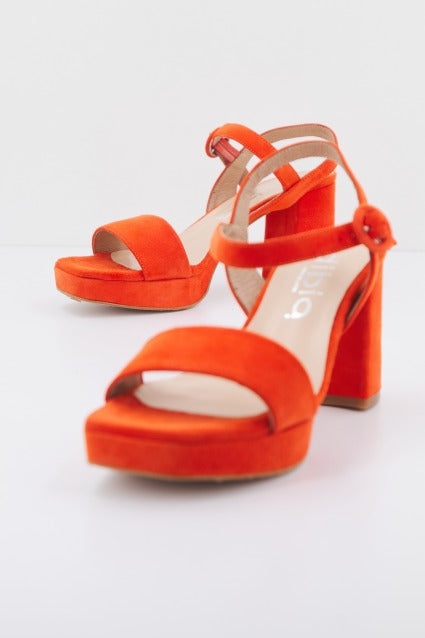 DIBIA D en color NARANJA (2)