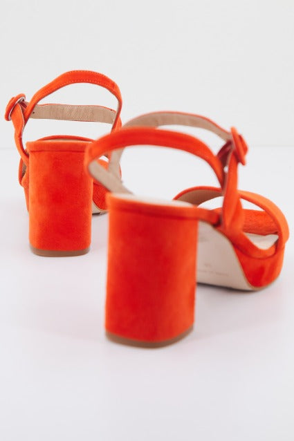 DIBIA D en color NARANJA (3)