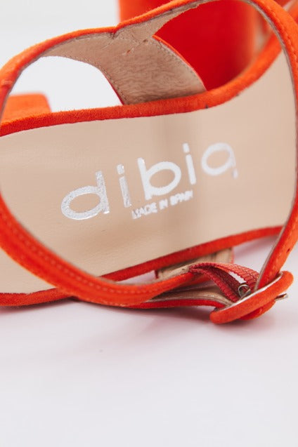 DIBIA D en color NARANJA (4)