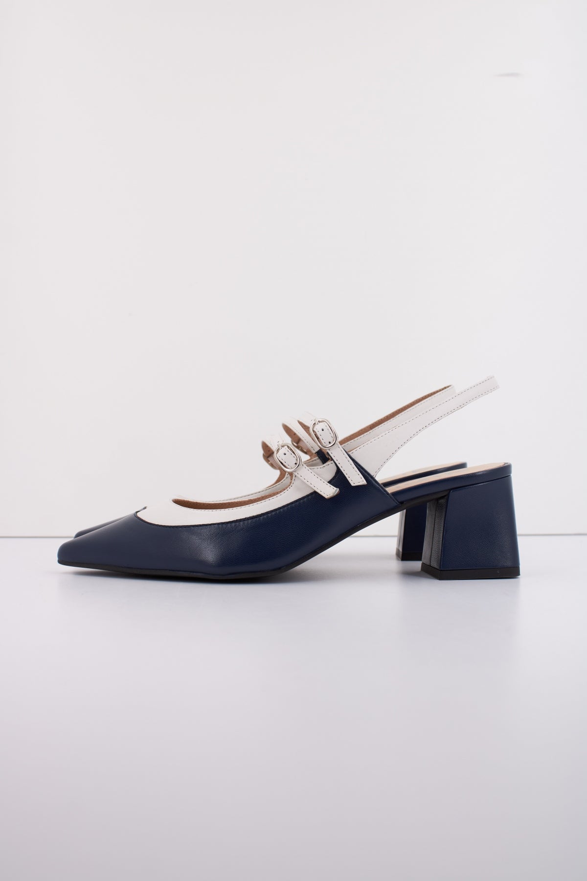 DIBIA D en color AZUL (1)