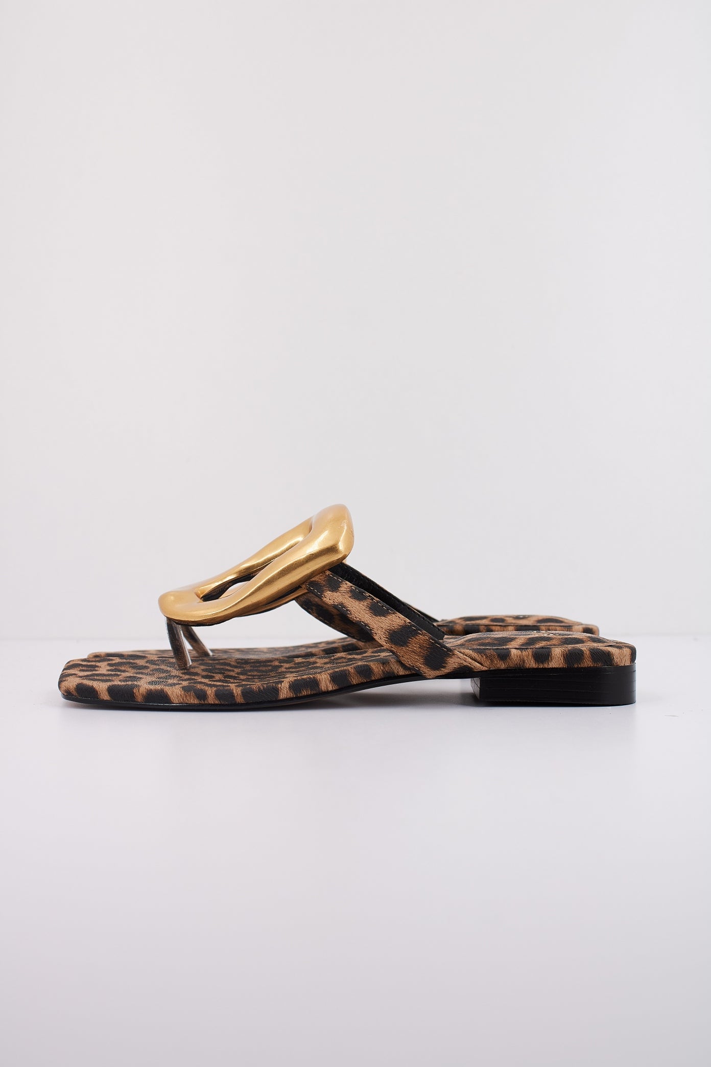 EXÉ STORM en color ANIMAL PRINT (1)