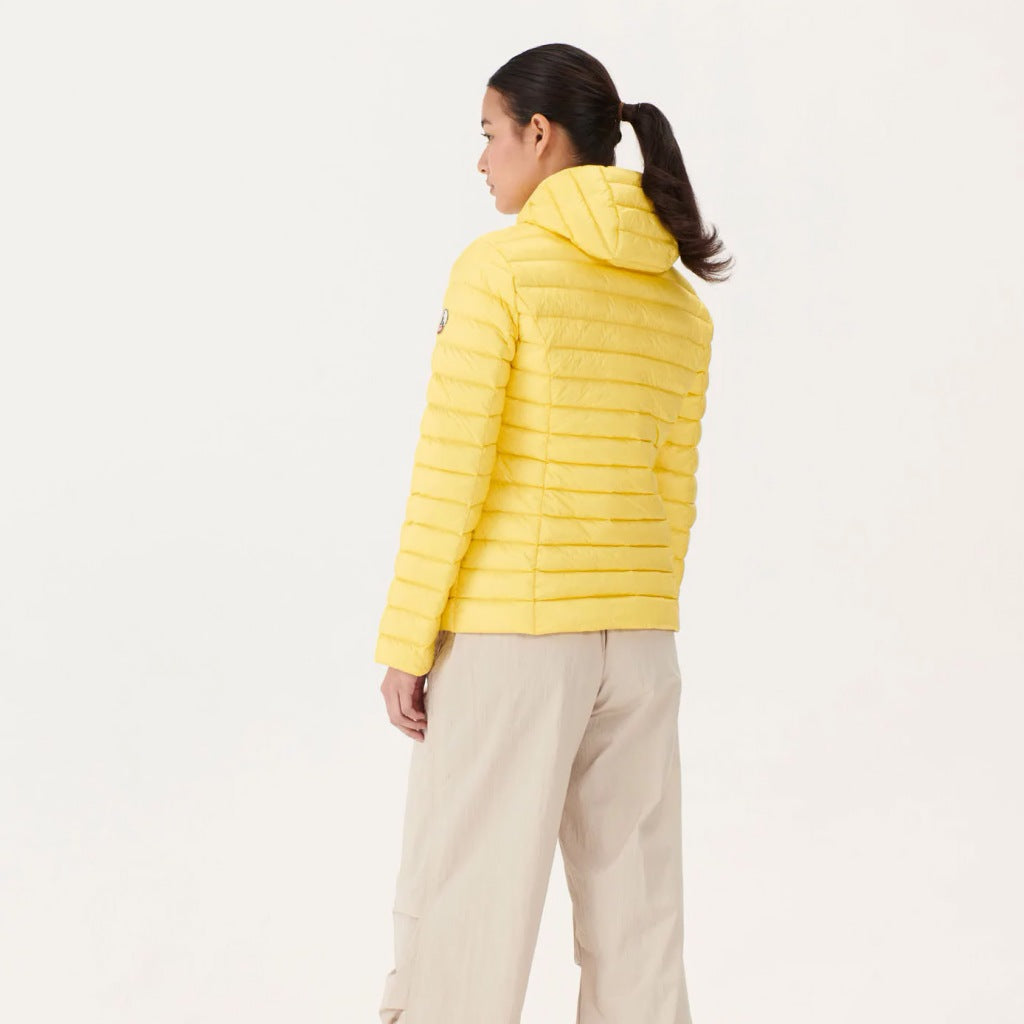 JOTT PFWDOW en color AMARILLO (1)