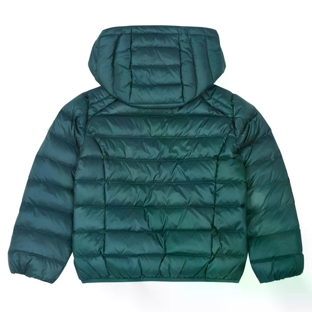 JOTT GOLD en color VERDE (5)