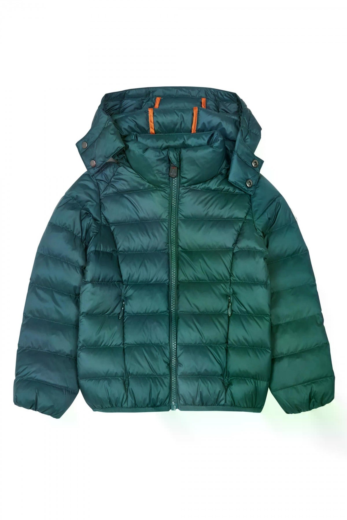 JOTT GOLD en color VERDE (1)