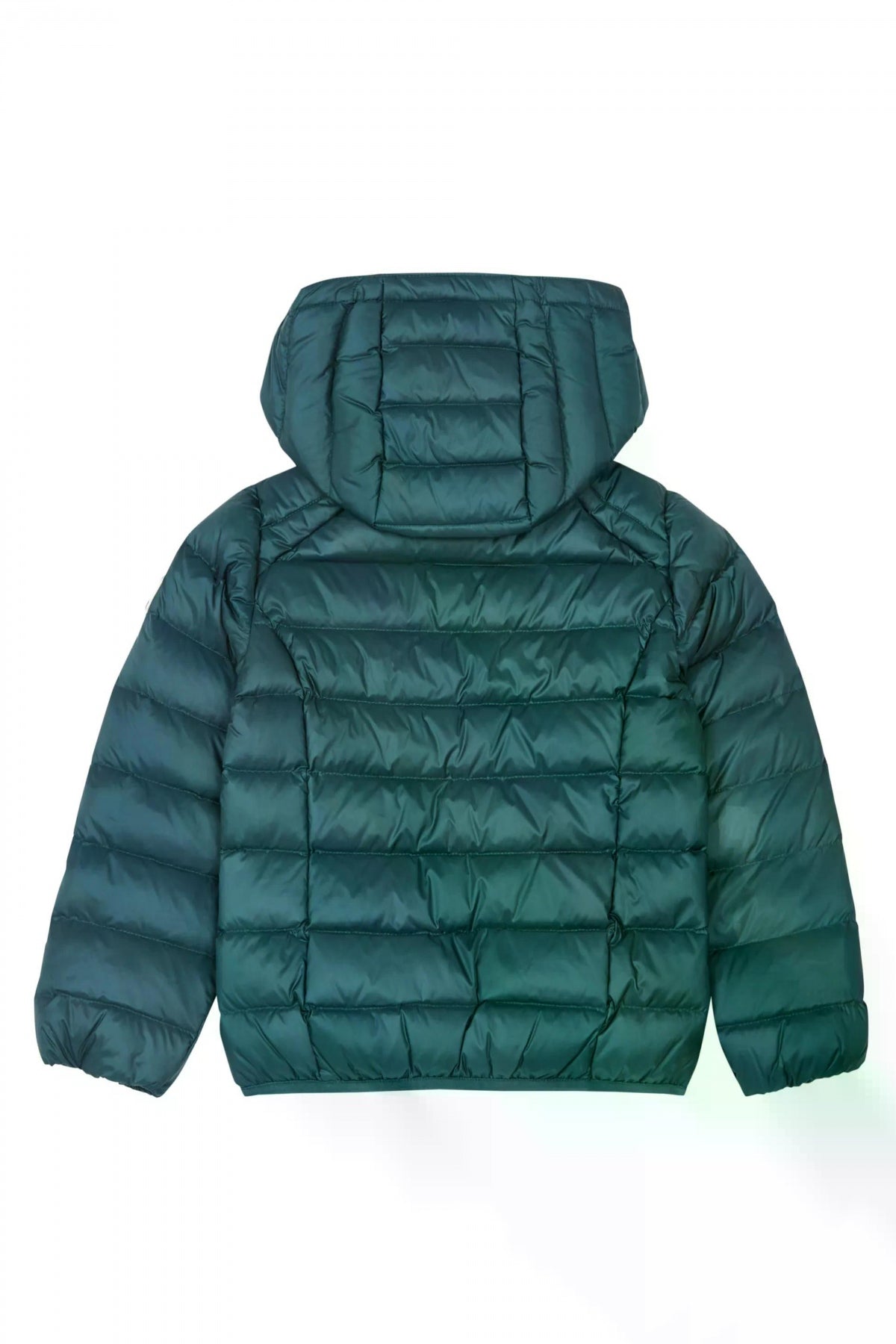 JOTT GOLD en color VERDE (2)