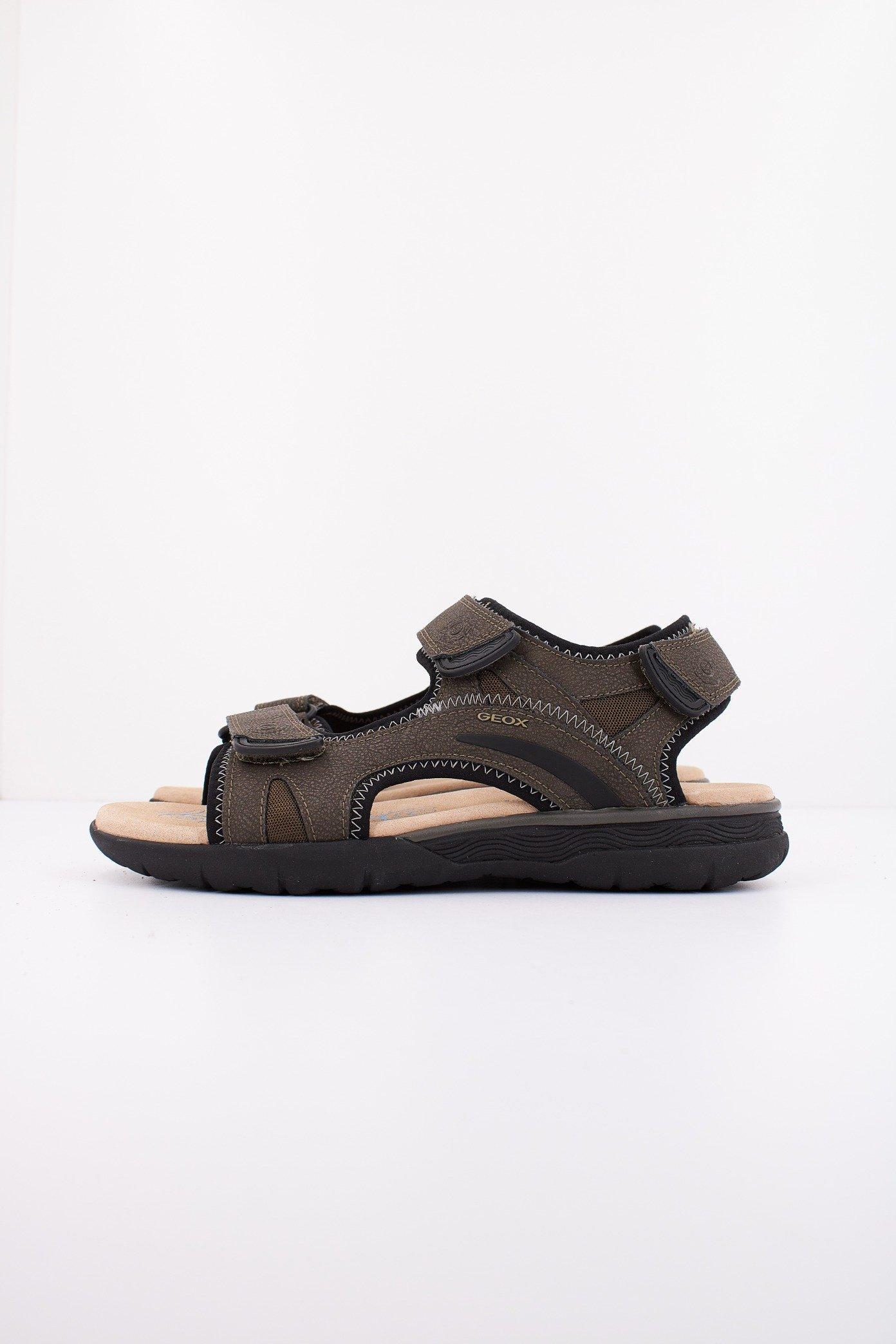 GEOX U SPHERICA EC en color MARRON (1)