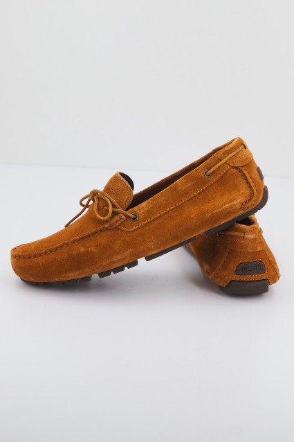 GEOX U MELBOURNE en color MARRON (1)