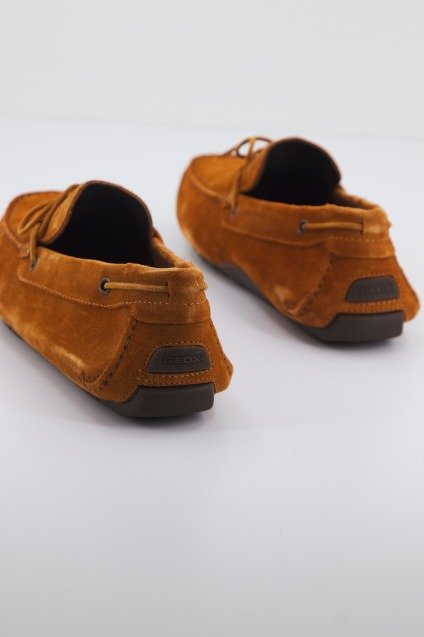 GEOX U MELBOURNE en color MARRON (3)