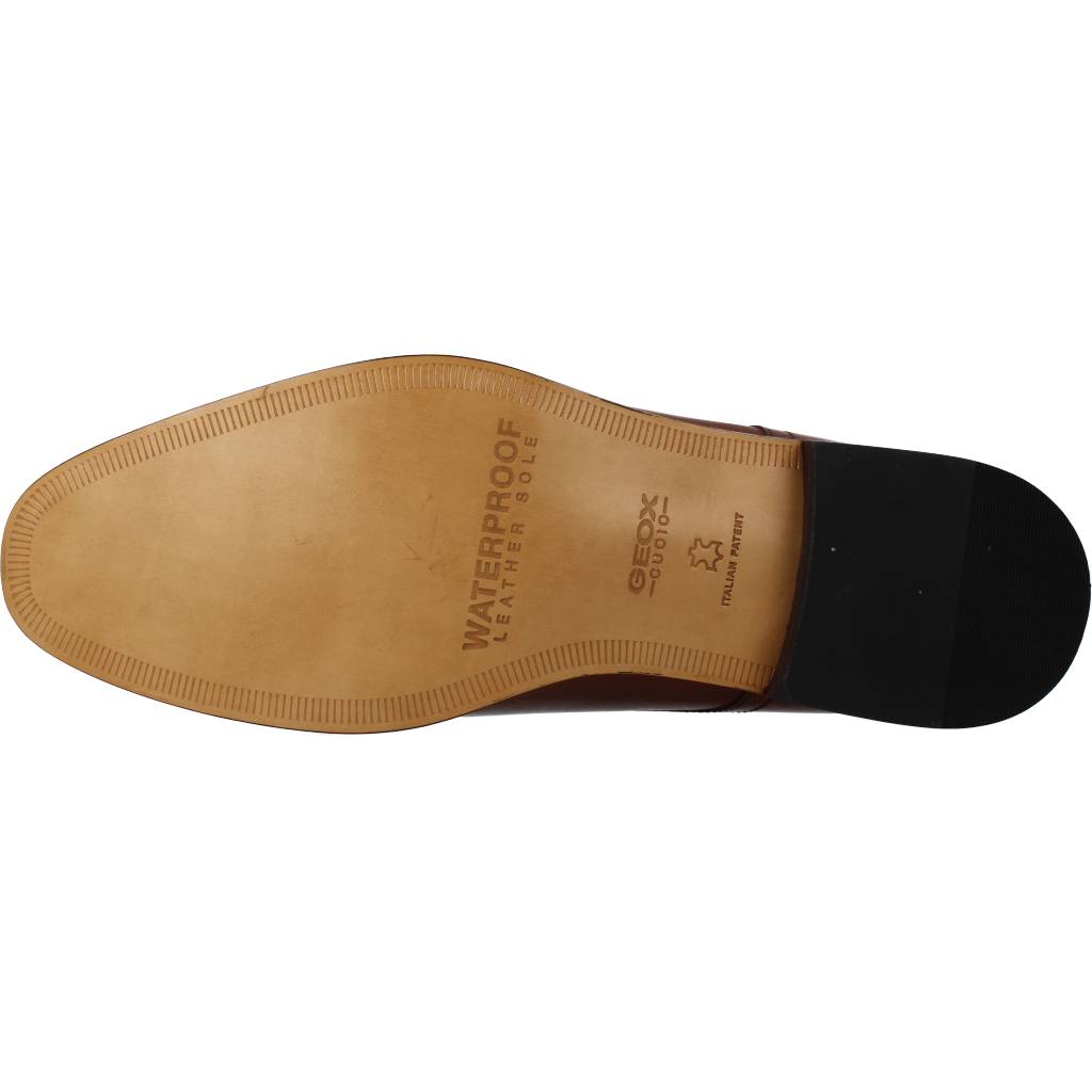 GEOX U SAYMORE C en color MARRON (6)
