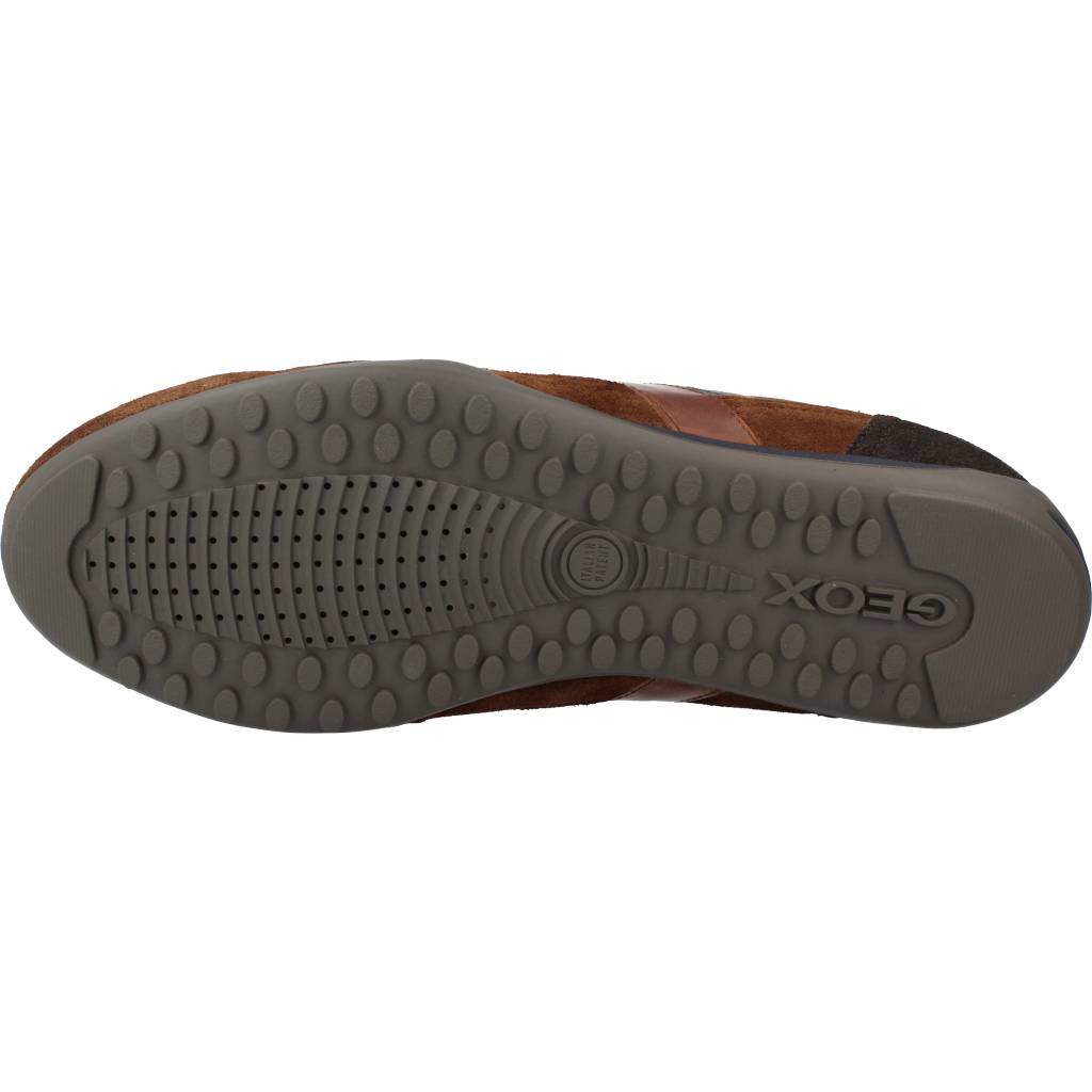 GEOX U WELLS B en color MARRON (6)