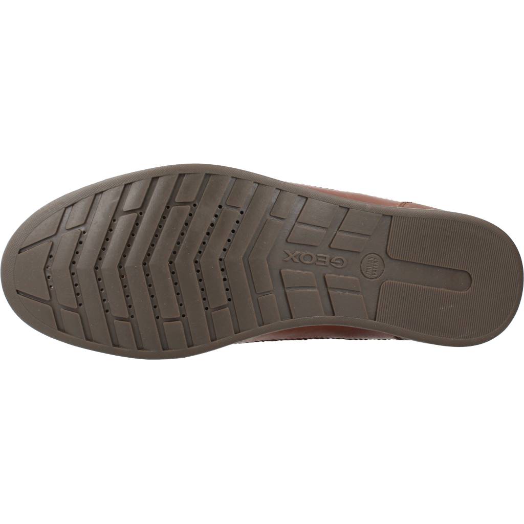 GEOX U RENAN A en color MARRON (6)