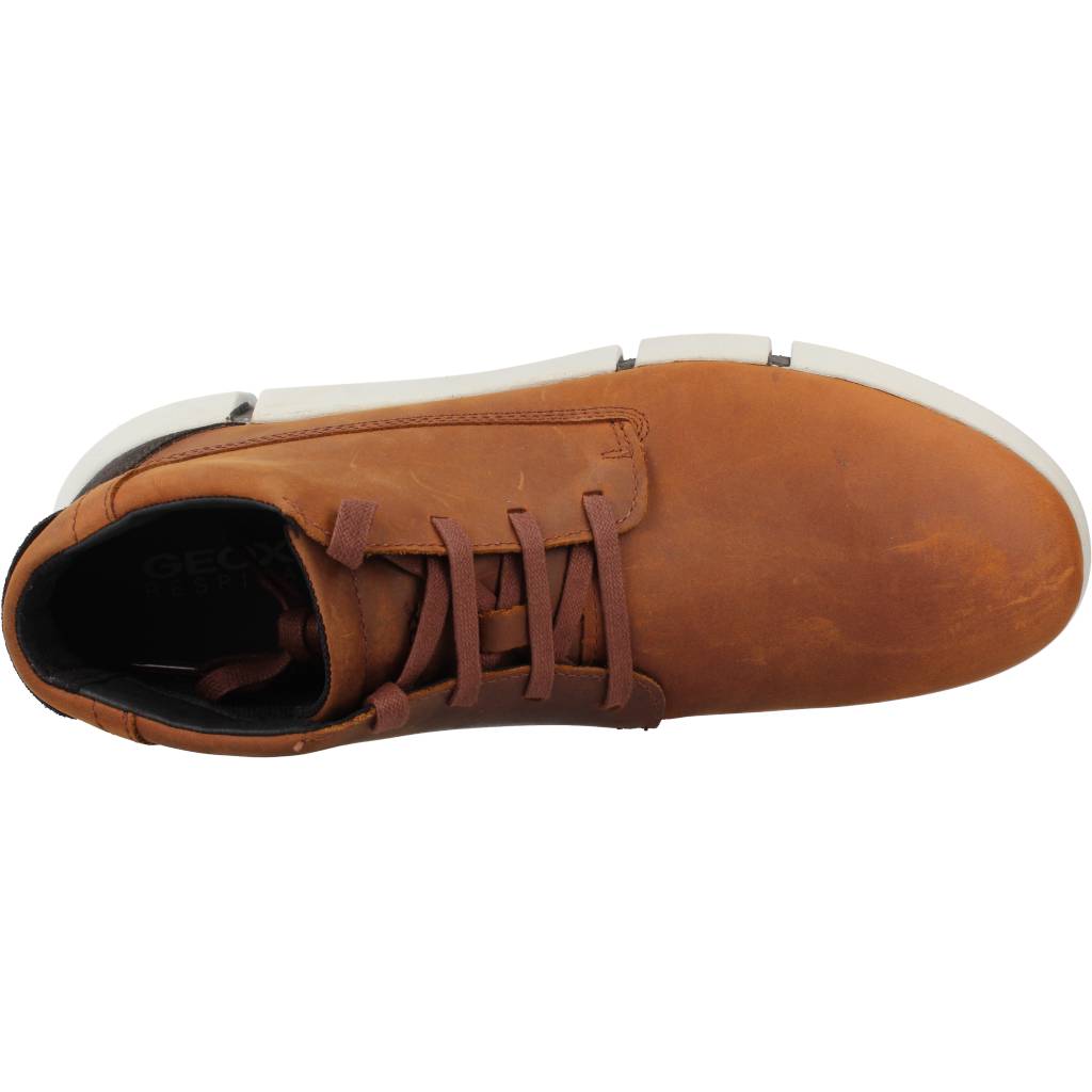 GEOX UFA CL U en color MARRON (7)