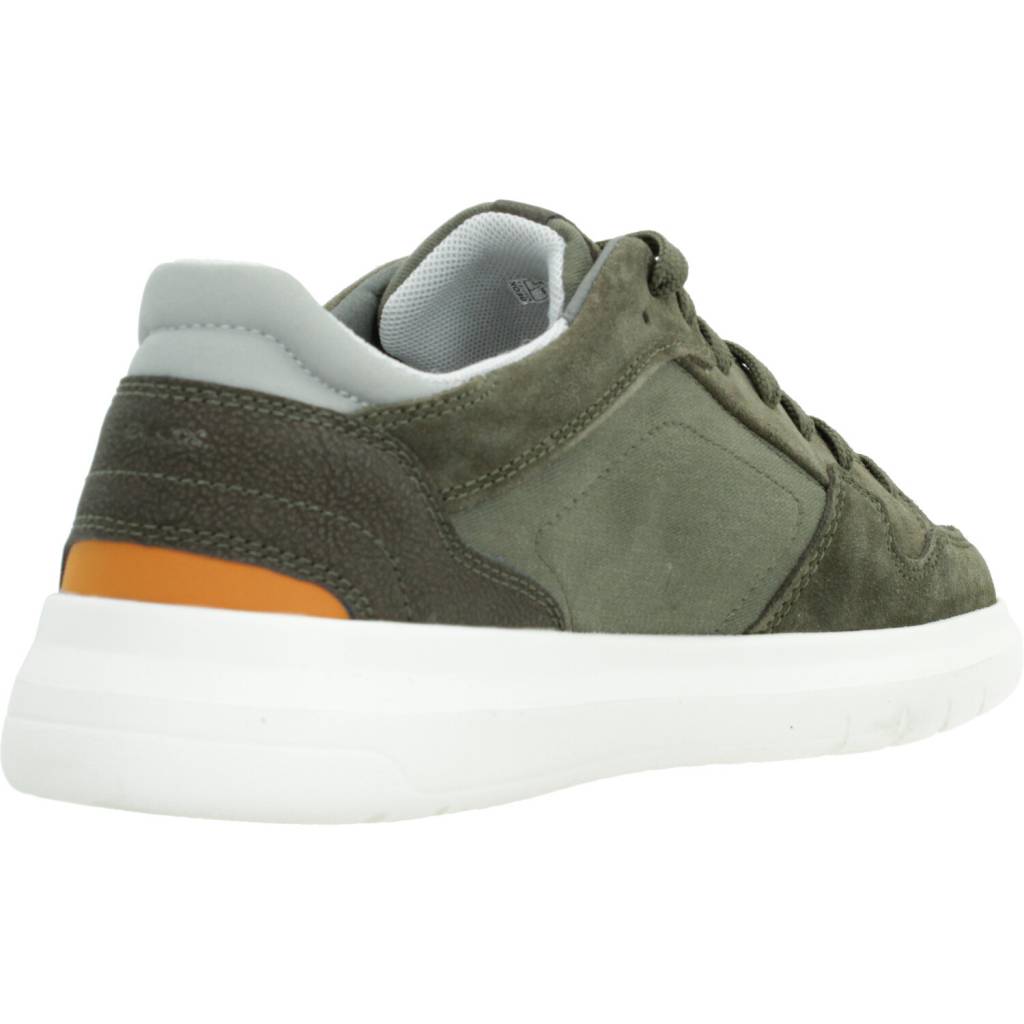 GEOX U MEREDIANO A en color VERDE (3)