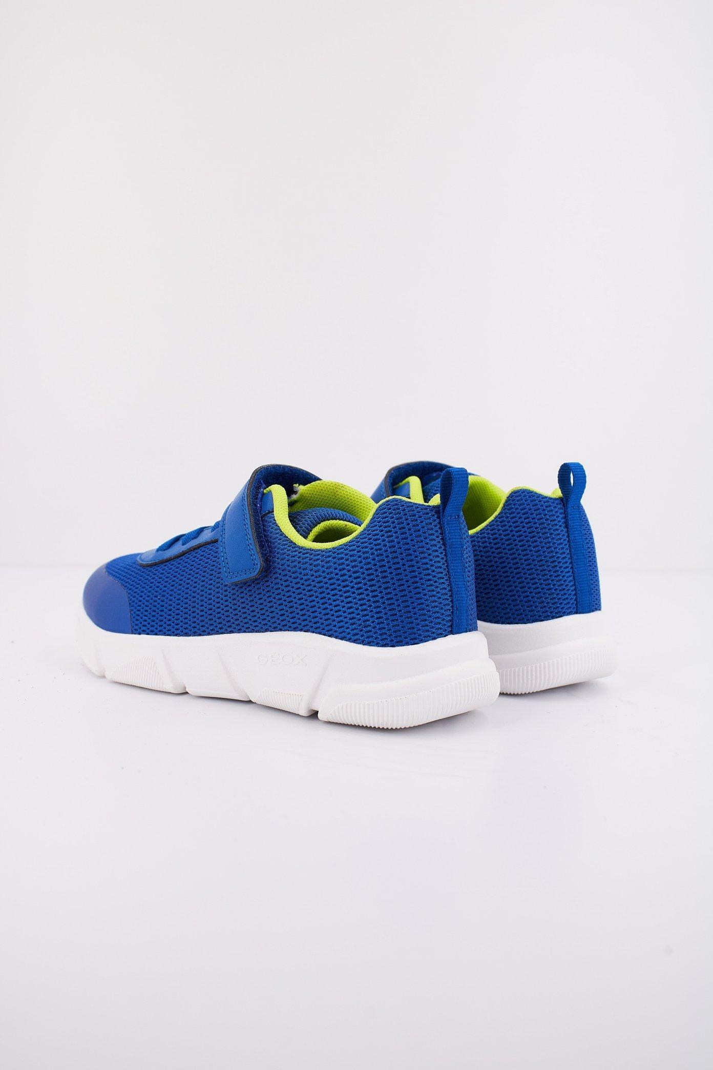 GEOX J ARIL B. en color AZUL (4)