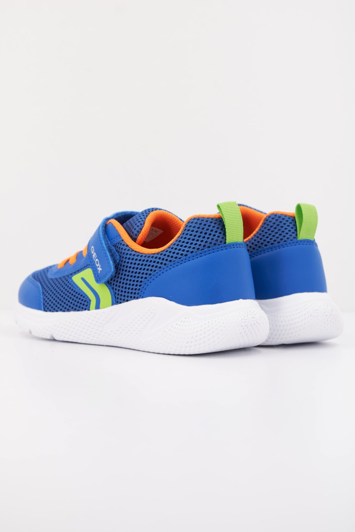 GEOX en color AZUL (4)