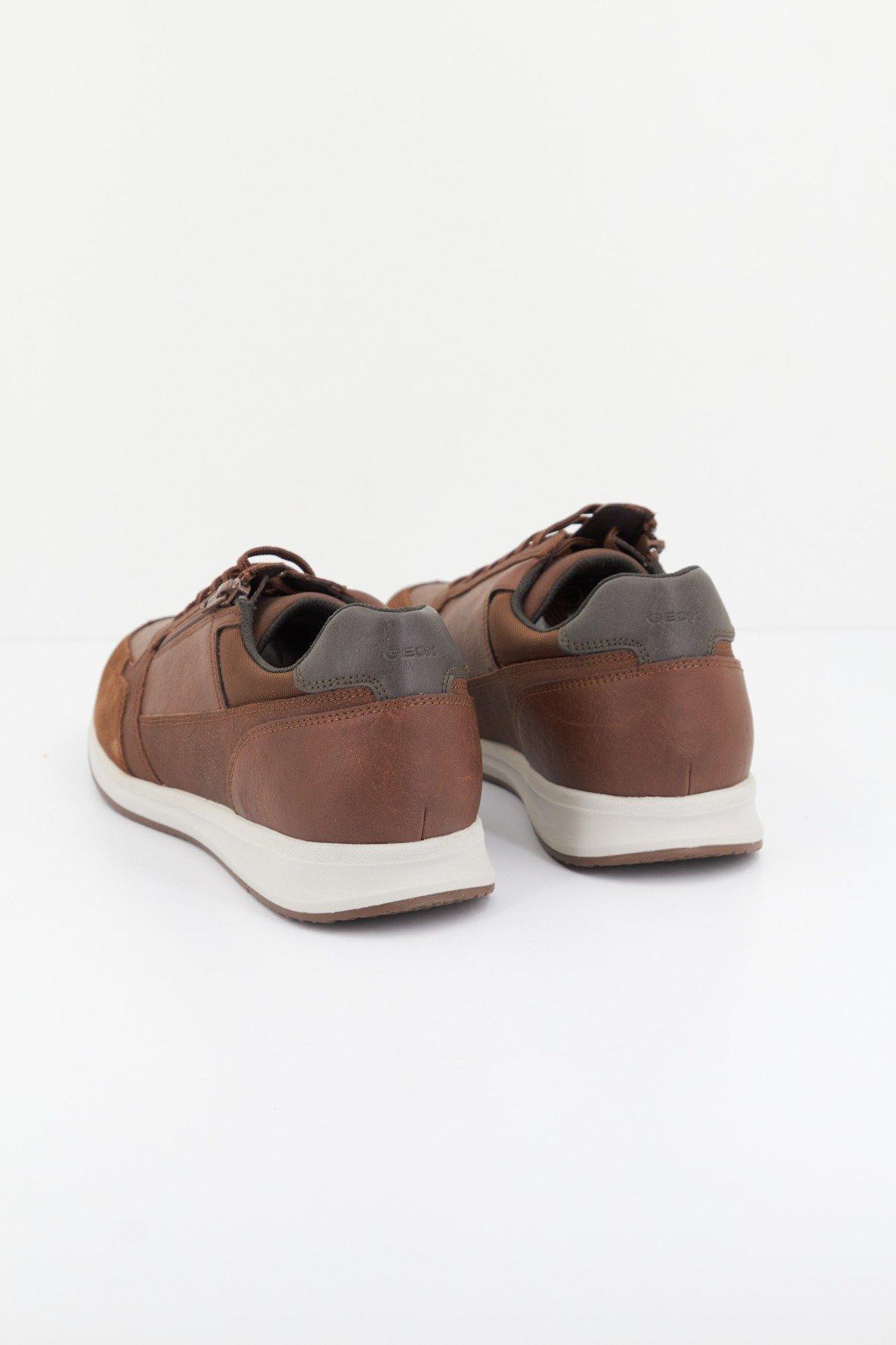 GEOX U AVERY en color MARRON (3)