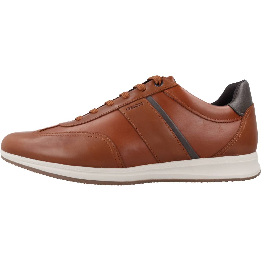GEOX U AVERY A en color MARRON (2)