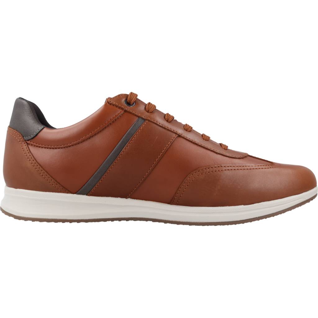 GEOX U AVERY A en color MARRON (4)