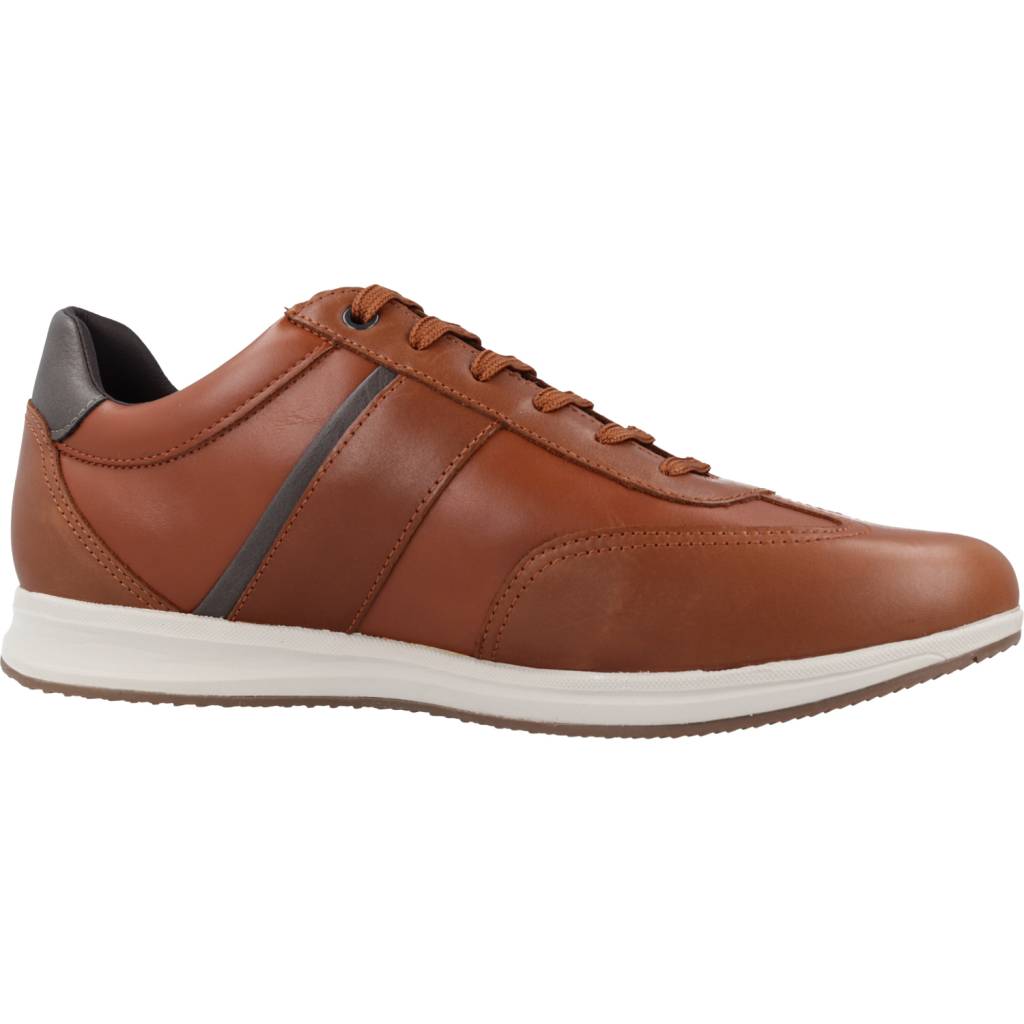 GEOX U AVERY A en color MARRON (5)