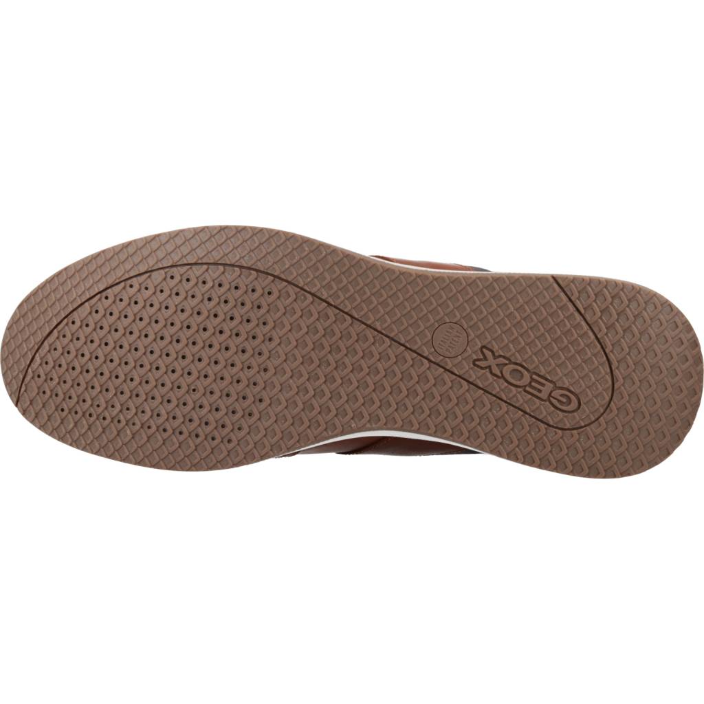 GEOX U AVERY A en color MARRON (6)