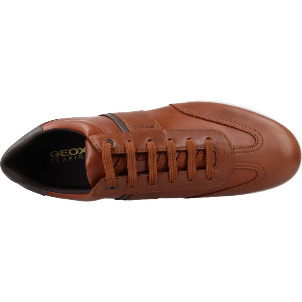 GEOX U AVERY A en color MARRON (7)