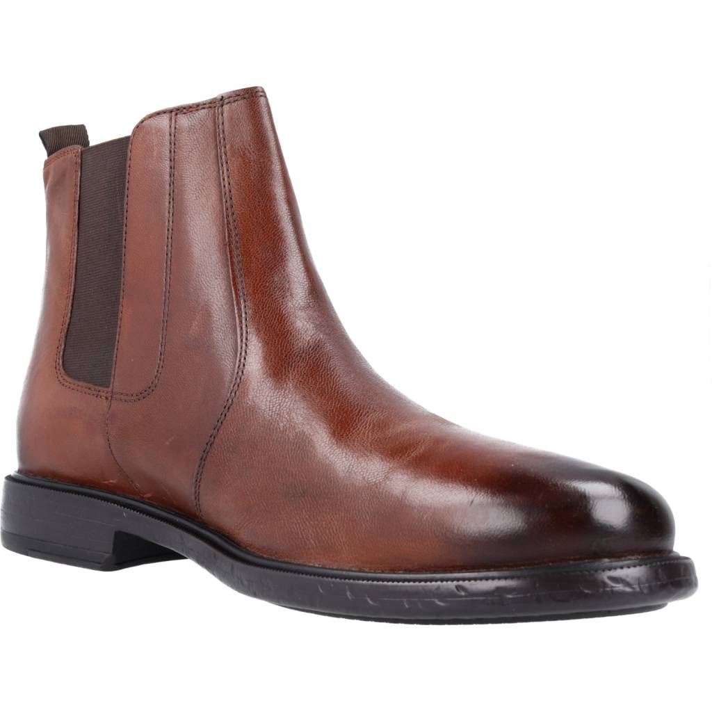 GEOX U TERENCE D en color MARRON (5)