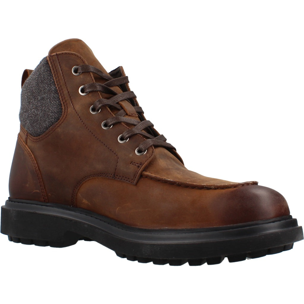 GEOX U FALORIA B ABX en color MARRON (5)
