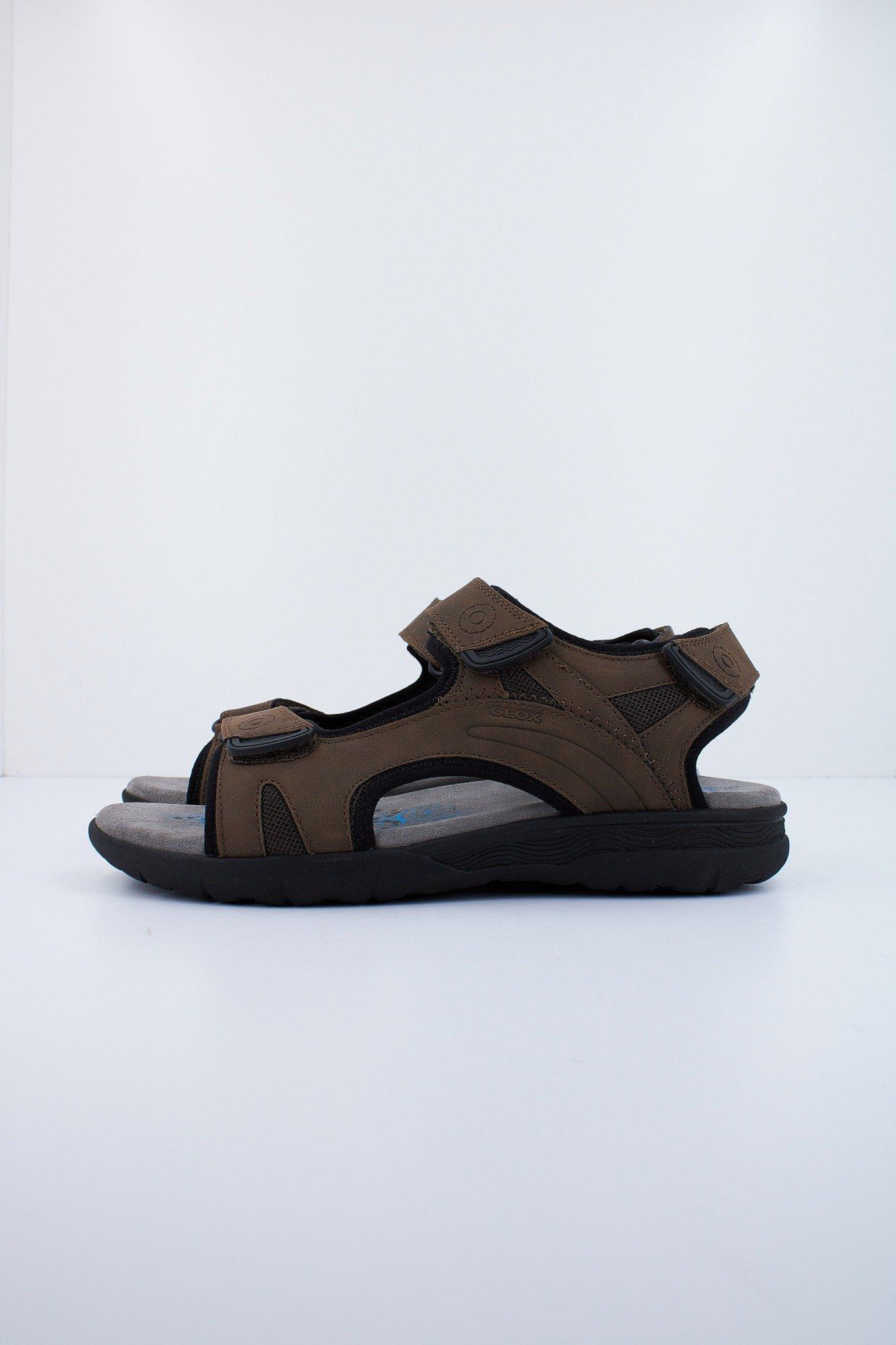 GEOX U SPHERICA EC en color MARRON (1)