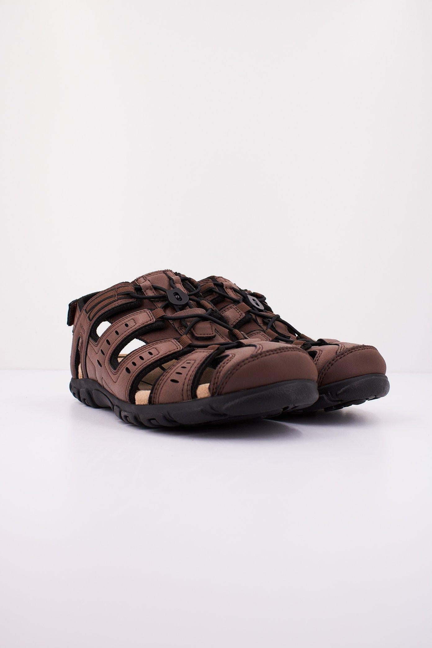 GEOX U S STRADA C en color MARRON (2)