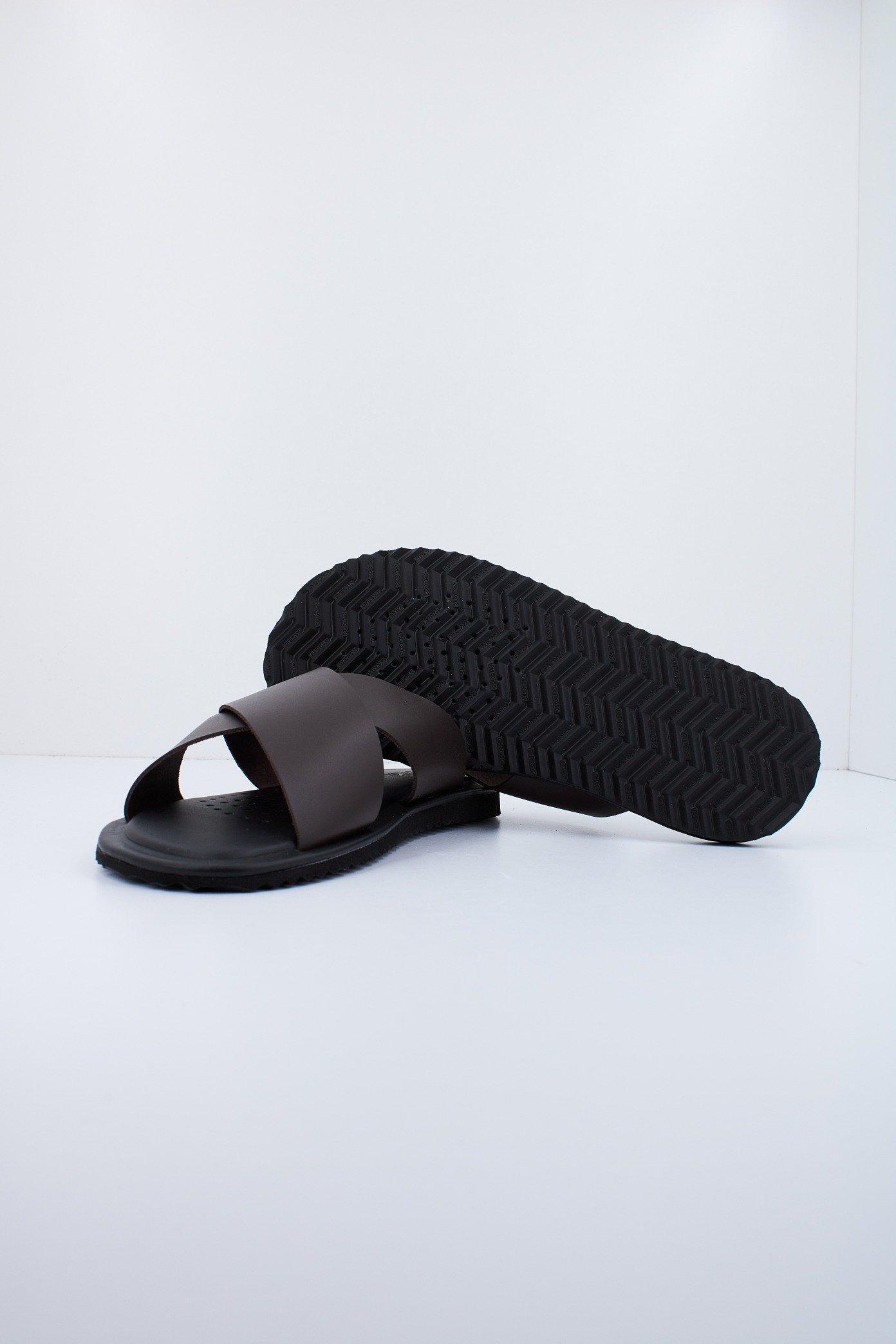GEOX U ERICE B en color MARRON (4)