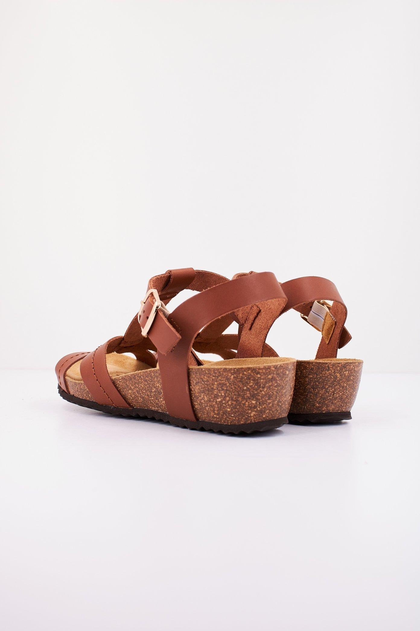 GEOX D STHELLAE en color MARRON (3)