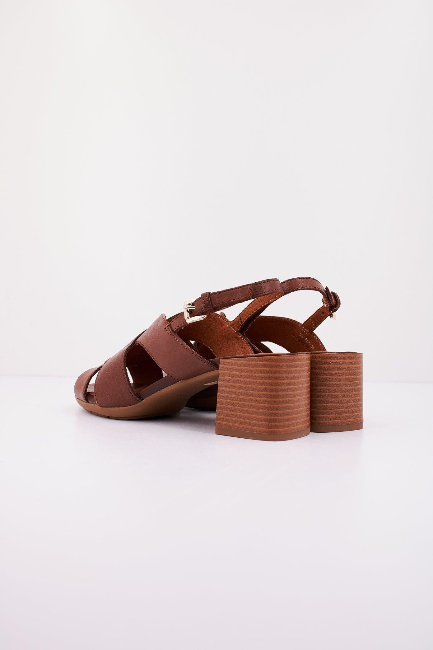 GEOX D NEW MARYKARMEN en color MARRON (3)