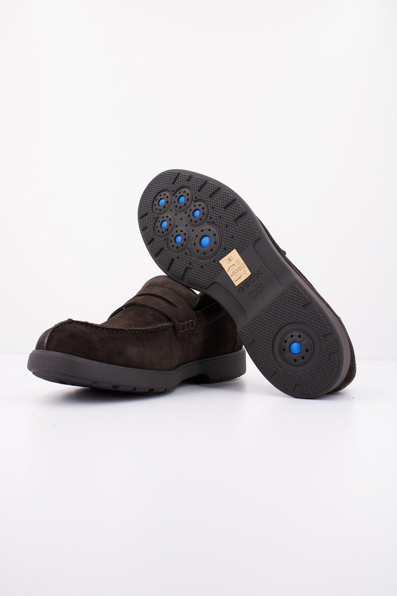 GEOX U SPHERICA EC en color MARRON (4)
