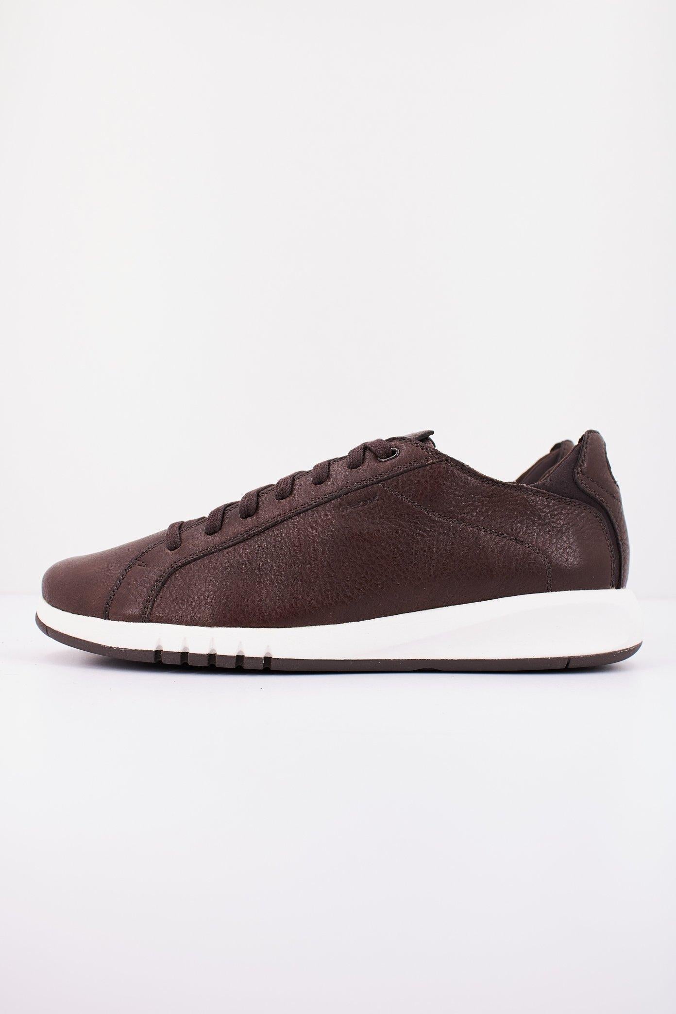 GEOX U AERANTIS en color MARRON (1)