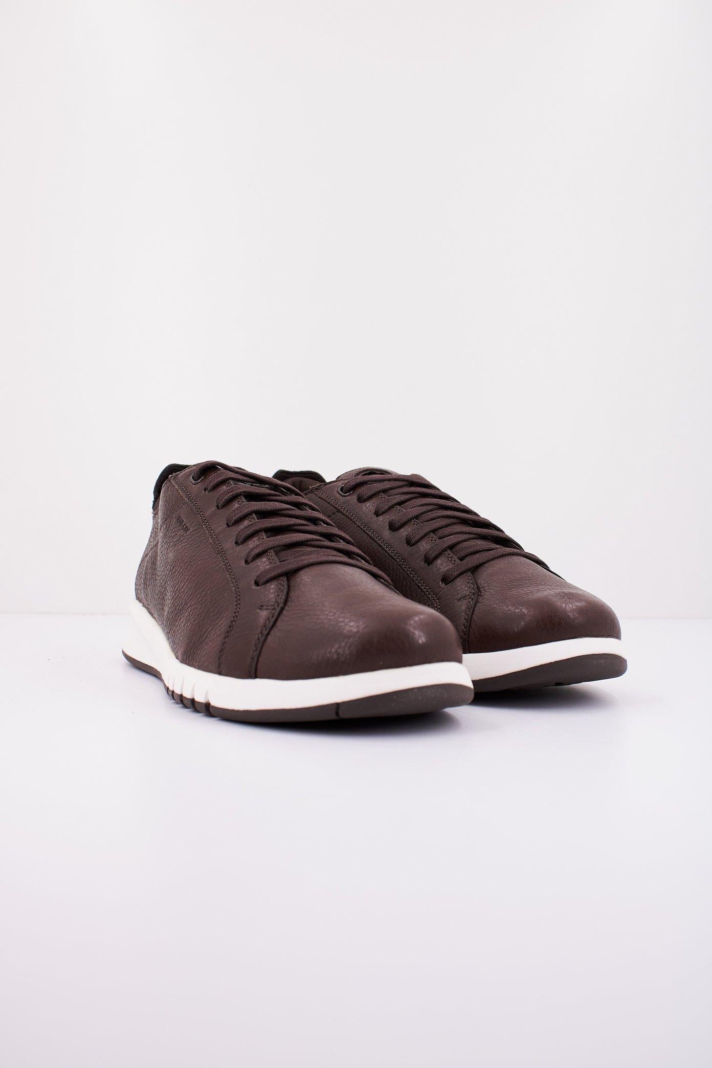 GEOX U AERANTIS en color MARRON (2)