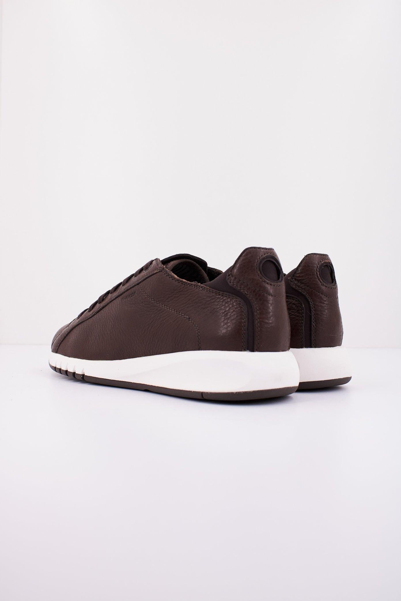 GEOX U AERANTIS en color MARRON (3)