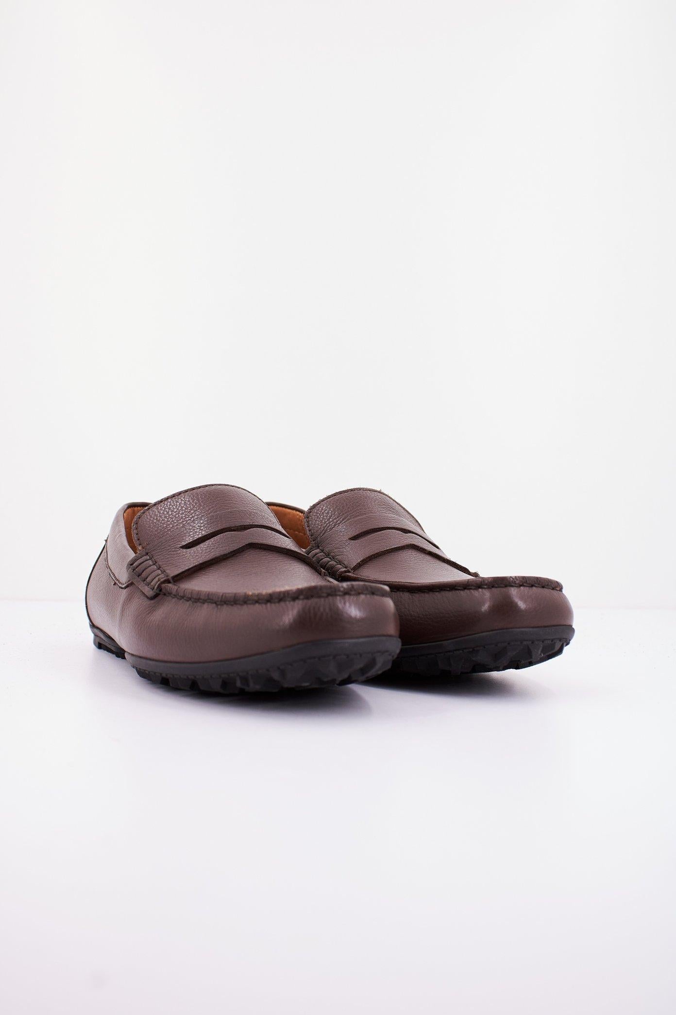 GEOX U KOSMOPOLIS + GRIP en color MARRON (2)