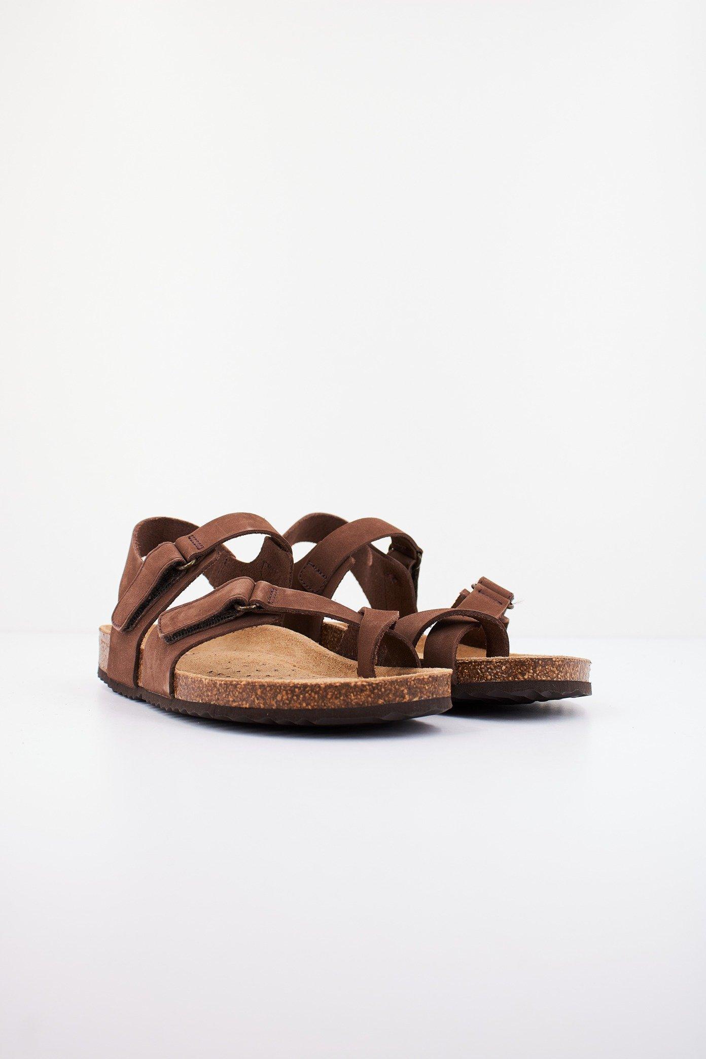 GEOX D BRIONIA en color MARRON (2)
