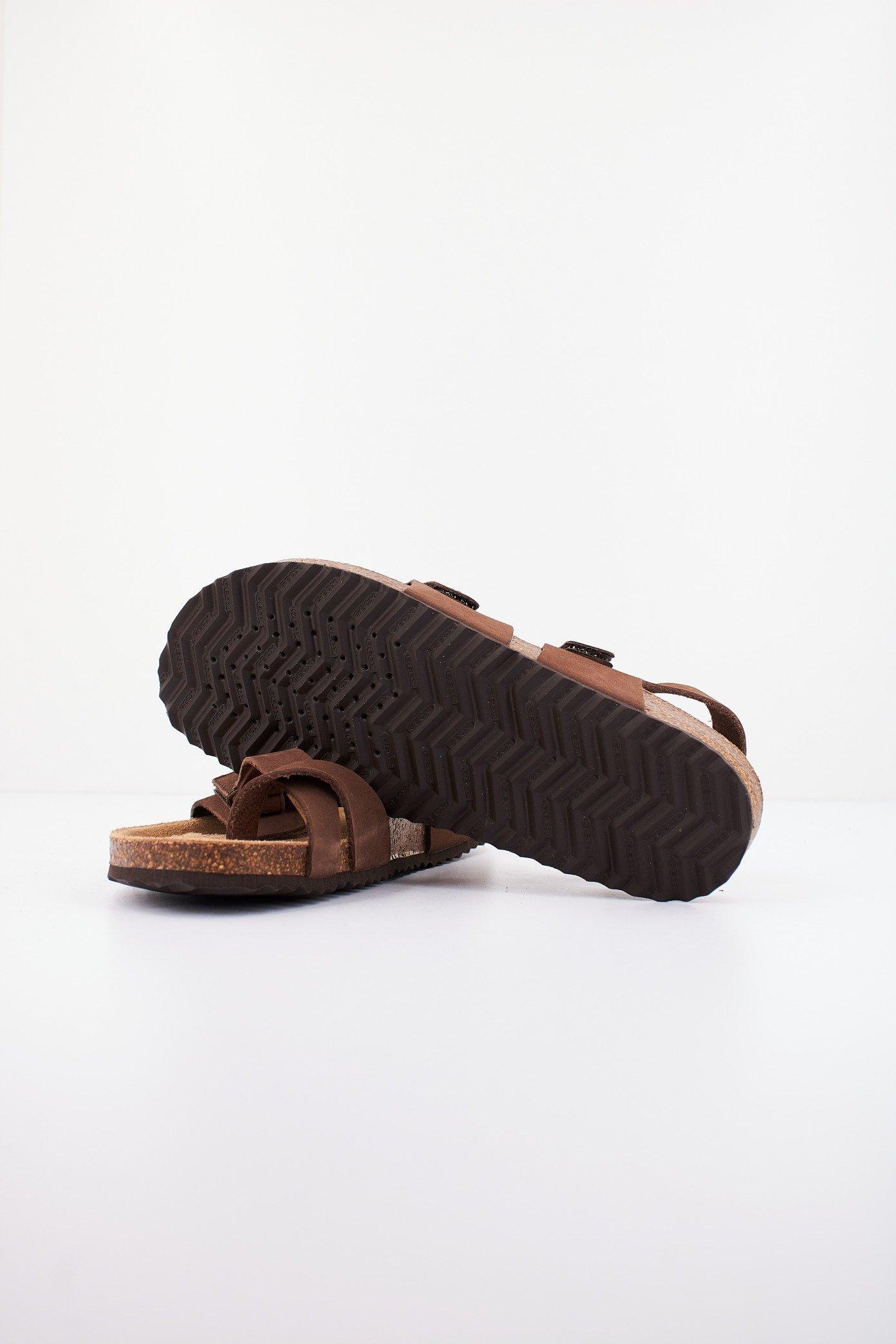 GEOX D BRIONIA en color MARRON (4)