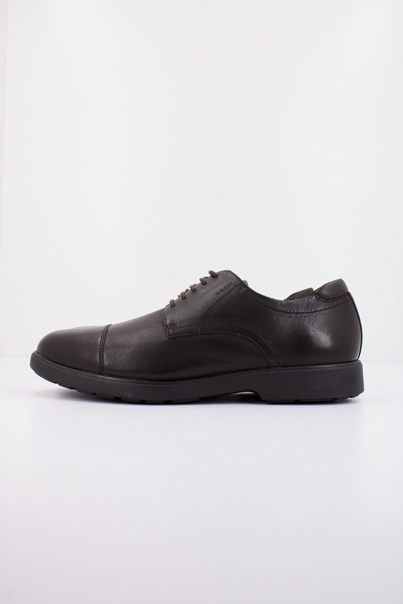 GEOX U SPHERICA EC en color MARRON (1)
