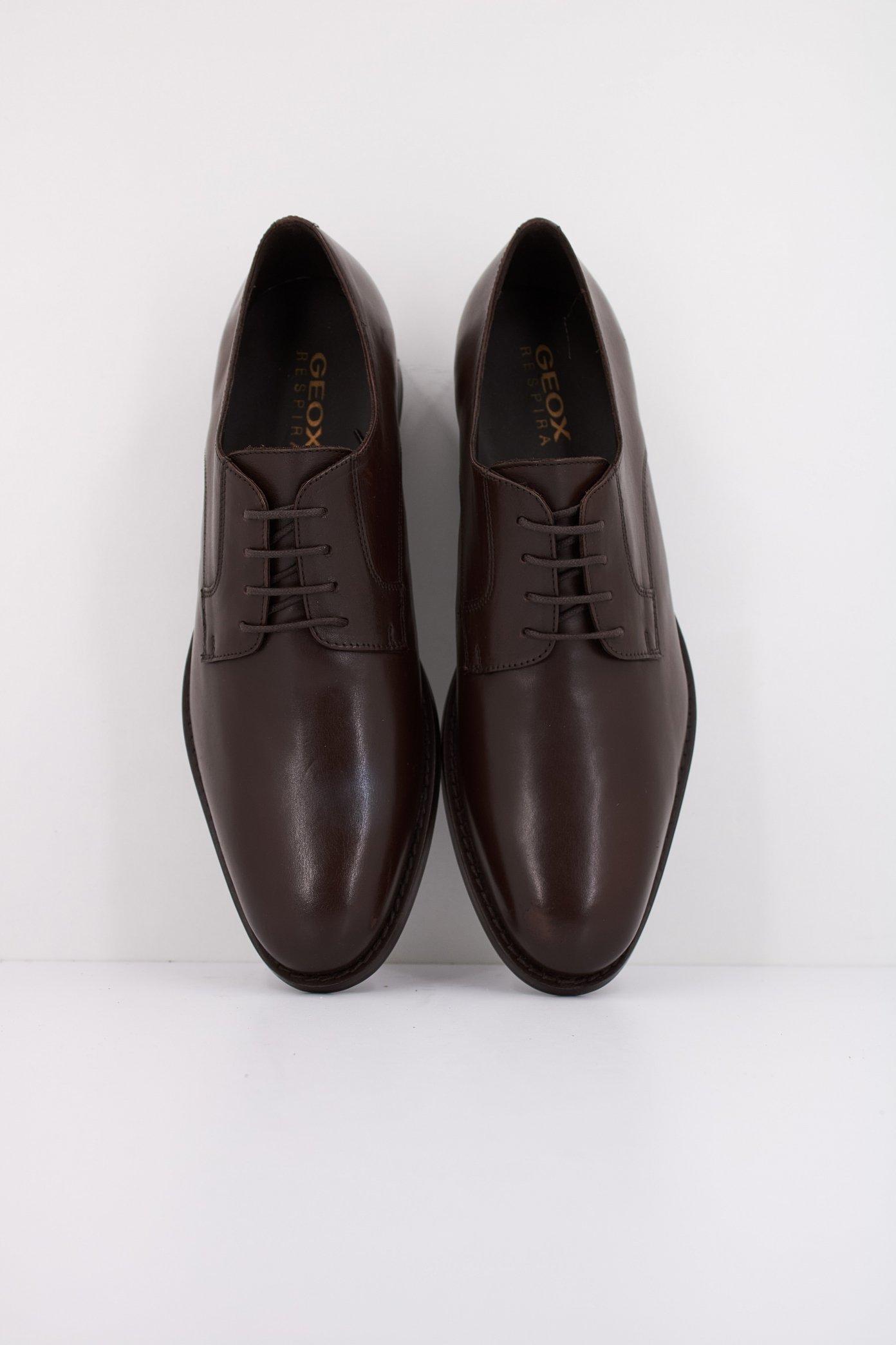 GEOX U HAMPSTEAD en color MARRON (3)