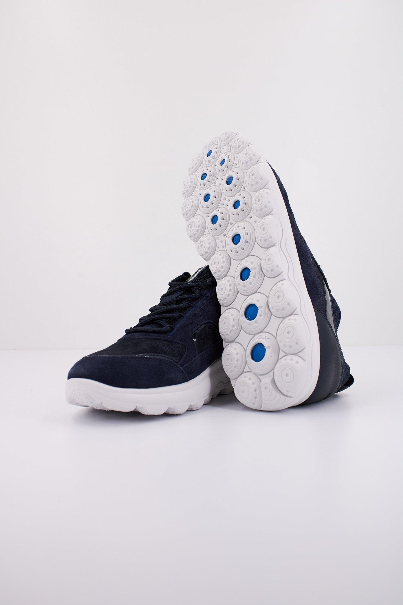 GEOX D SPHERICA en color AZUL (5)