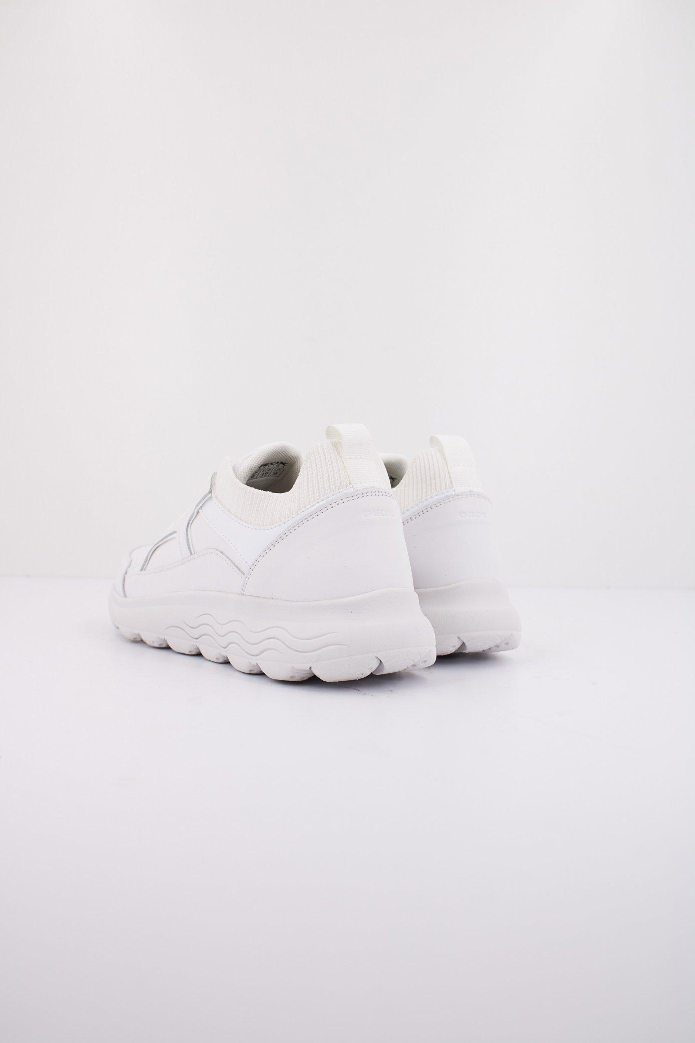 GEOX D SPHERICA en color BLANCO (4)